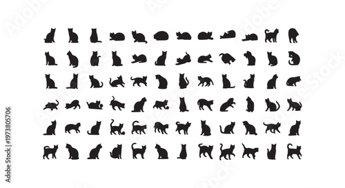 Meticulously crafted handwritten alphabet sequence in an artistic and organized layout design