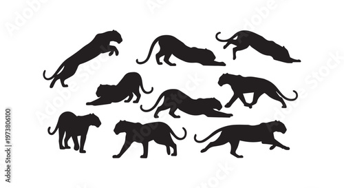 A flock of black birds soaring together in dynamic flight patterns against a plain background