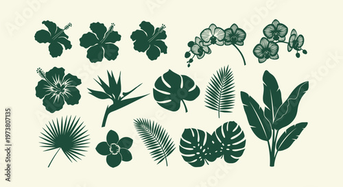 Tropical botanical silhouette set with hibiscus monstera palm and orchid flowers in dark green.