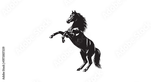 The majestic silhouette of a wolf against the night sky symbolizing freedom and wilderness