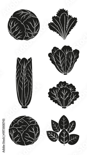 Assorted Leafy Greens Silhouettes: Cabbage, Lettuce, Spinach, Bok Choy Icons