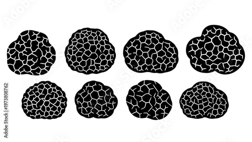 Black Truffles Collection Isolated on White Background, Hand Drawn Style