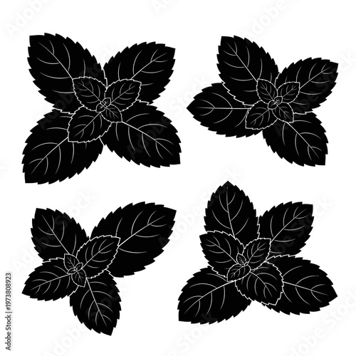Four Black Mint Leaves Silhouette on White Background