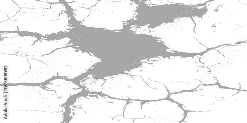 Vintage black and white grunge texture design featuring a cracked concrete wall pattern and antique paper paint splash illustration on a distressed stone vector frame