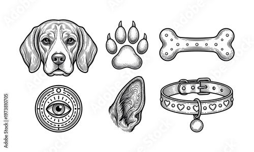 Vintage dog illustrations in a black and white engraving style. Set includes beagle, paw, bone, collar, and mystical eye symbol. For pet branding, logos, and tattoo art.