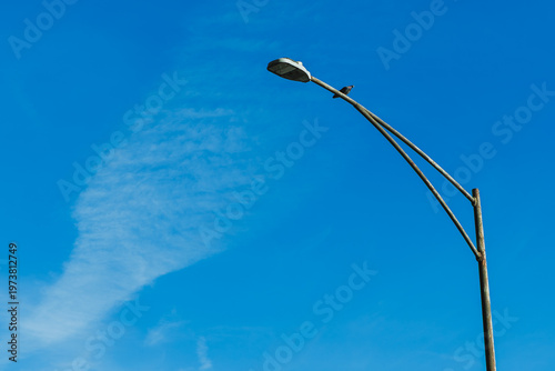Принти на полотні Street lamp stands tall against a clear blue sky with wispy clouds during midday