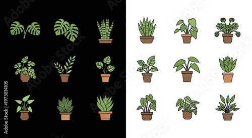 Collection of various potted houseplants and succulents.