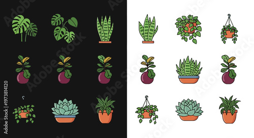 Collection of various potted plants and succulents.