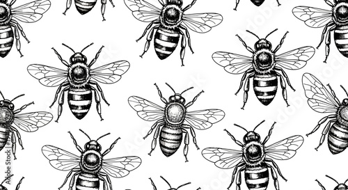 Black and white illustration of bees.