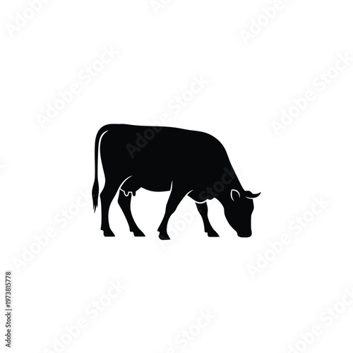 A black silhouette of a grazing cow walks on a plain background