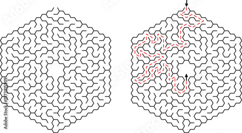 Hexagonal Maze Puzzle Solution Complex Labyrinth Game Challenge