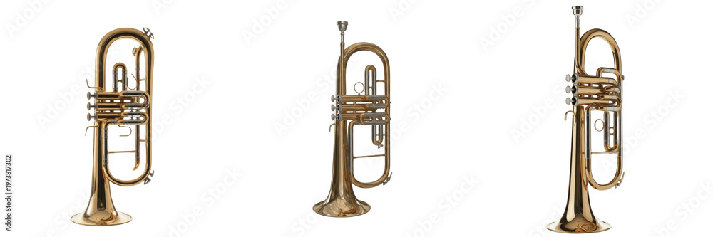 Fototapeta premium Set of Professional Brass Trumpet Musical Instruments Isolated on White Background
