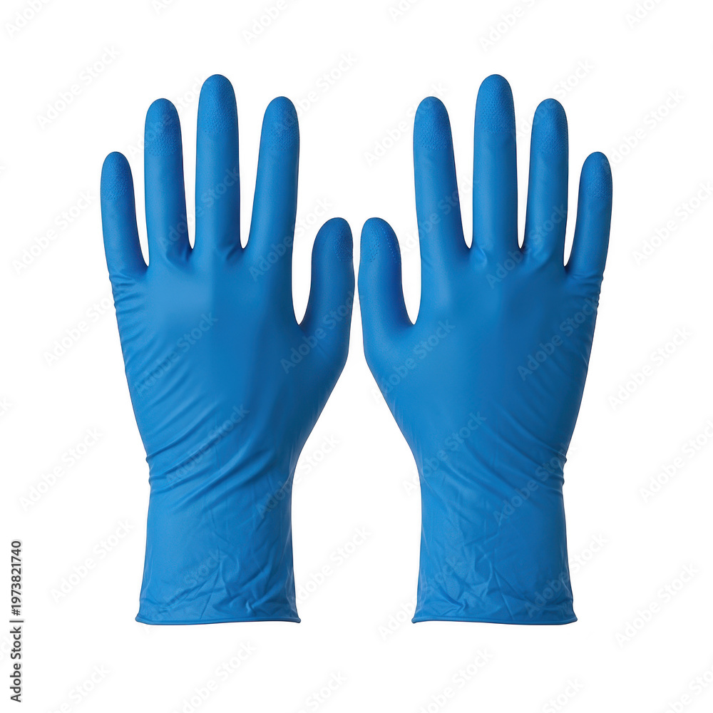 Fototapeta premium A pair of blue disposable nitrile gloves shown from the palm side