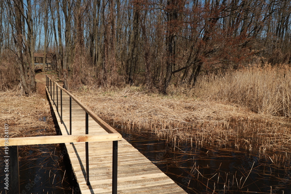 Obraz premium A wooden bridge from the shore to the river