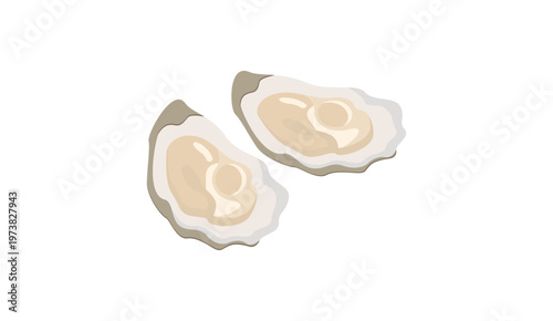 High quality vector illustration of a pair of fresh oysters in shell with soft natural texture in flat style.
