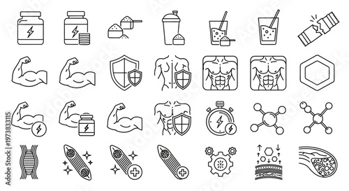Outline Vector Icons for Fitness, Muscle Growth, Nutritional Supplements, Health, and Scientific Wellness Concepts. Body and Strength Elements