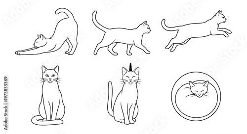 Collection of Outline Illustrations of Domestic Cats in Various Poses and Actions, Including Stretching, Walking, Jumping, Sitting, and Sleeping