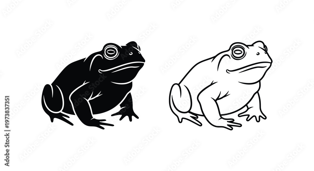 Foto Black And White Toad Frog Illustration Set Vector