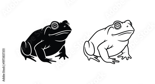 Foto Black And White Toad Frog Illustration Set Vector