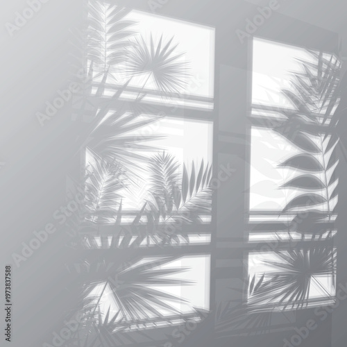 Fotografía Monochrome photo of tropical palm tree leaves casting shadows on a large window