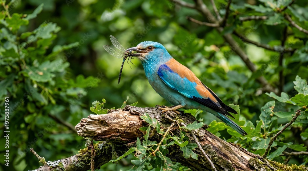 Obraz premium Bird catches a dragonfly while perched on a branch in a forest during daytime