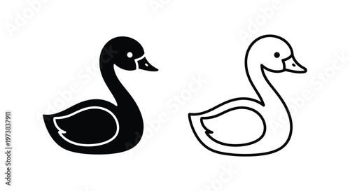 Black and White Swan Pair Illustration Vector