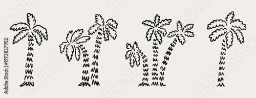 Palm trees hand drawn vector set