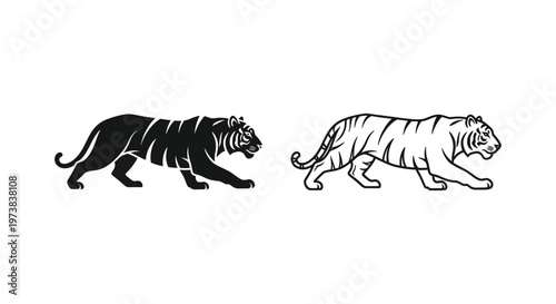 Tiger vs Leopard: Striking Black and Yellow Feline Comparison Vector