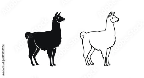 Llama vs Alpaca: Identifying Key Differences Vector