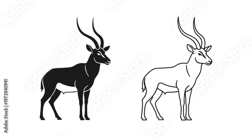 Antelope Species Comparison Guide: Horns & Features Vector