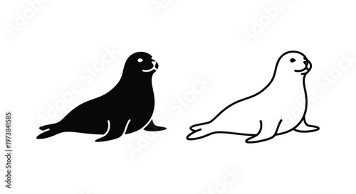 Sea Lion vs Seal: Marine Mammals Comparison Guide Vector