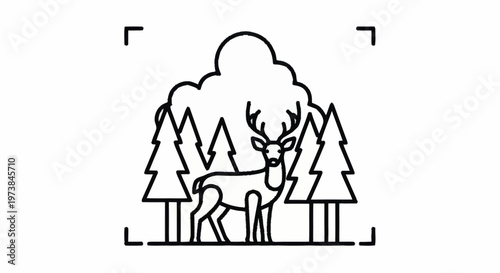 Deer with large antlers standing still.