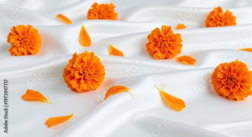 Vibrant orange flowers and petals scattered on white fabric surface orange flowers flower petals whi