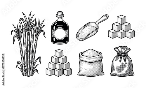 A set of vintage sugar production icons. Includes sugarcane, rum bottle, cubes, and sacks. Black and white engraving style vector illustration for food or agriculture design.