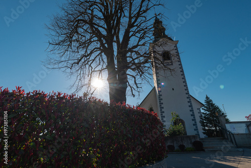 Church tower in Grosuplje rising beside a leafless tree, captured from a low angle with sun flare through red foliage, creating a dramatic perspective and serene atmosphere on a clear day.