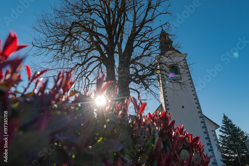 Church tower in Grosuplje rising beside a leafless tree, captured from a low angle with sun flare through red foliage, creating a dramatic perspective and serene atmosphere on a clear day.
