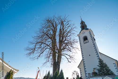 Church tower in Grosuplje rising beside a leafless tree, captured from a low angle with sun flare through red foliage, creating a dramatic perspective and serene atmosphere on a clear day.