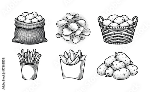A vintage set of hand drawn potato illustrations. Includes raw vegetable, french fries, wedges and chips. Vector sketch for fast food menu or farm market packaging design.