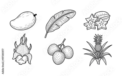 A collection of exotic tropical fruits including mango, pineapple, and dragon fruit. Hand drawn in a vintage sketch style, perfect for menus, packaging, and branding.
