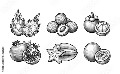 Collection of hand-drawn exotic fruits. Vintage black and white engraving illustration set. Vector for organic food design, packaging, and menus.