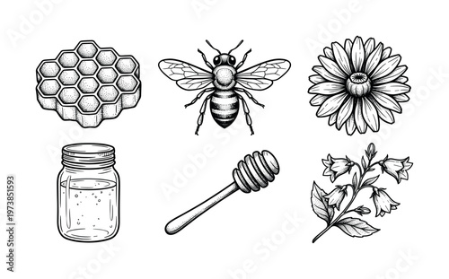 Vintage hand-drawn honey illustration set with bee, honeycomb, flowers, and jar. Engraving style icons for organic products, apiculture branding, packaging, and labels.