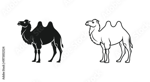 Two-Humped Camel Illustration Guide Vector