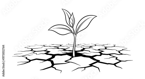 A small plant grows in dry cracked earth.