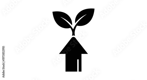 Sustainable living and eco friendly home.