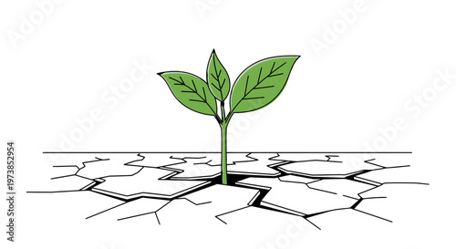 A small green plant sprouting through cracked dry earth.