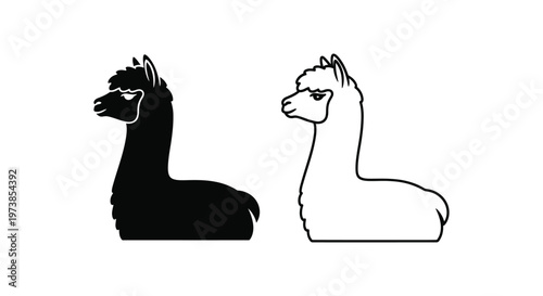 Alpaca Symbols: Positive vs Negative Energy Representation Vector