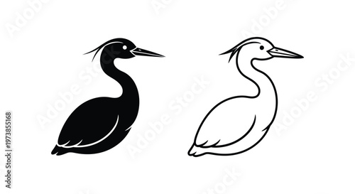 Black and White Heron Birds Illustration Guide Vector