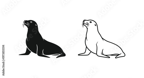 Sea Lions: Identifying Species Guide Vector