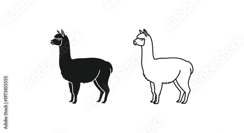 Alpaca vs Llama: Distinctive Animal Comparison Guide Vector