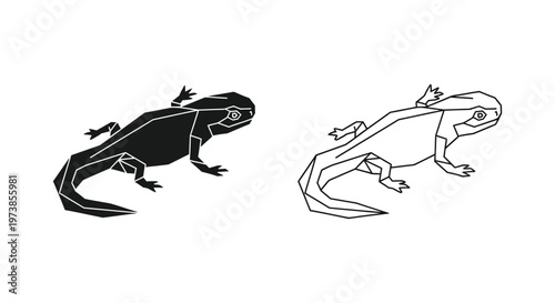 Salamander vs Axolotl: Unique Amphibian Comparison Guide Vector